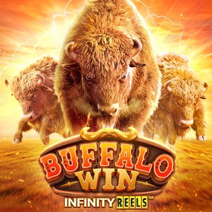 Buffalo Win_Cover