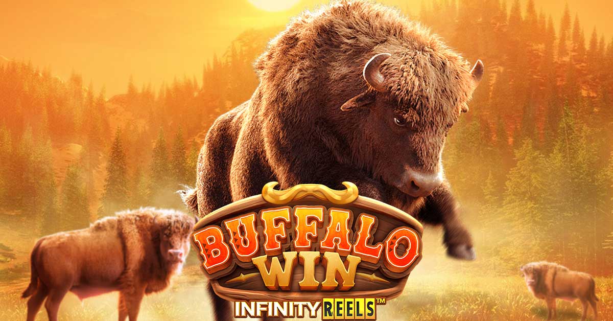 Buffalo Win Cover2